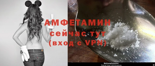 стафф Михайловск